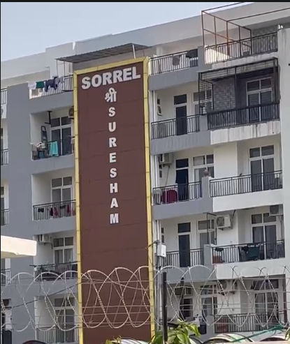 Building View